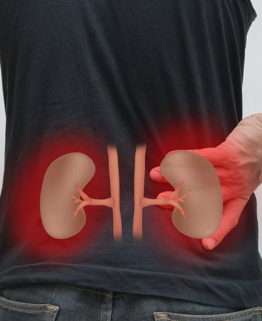 Médico especialista en nefrología