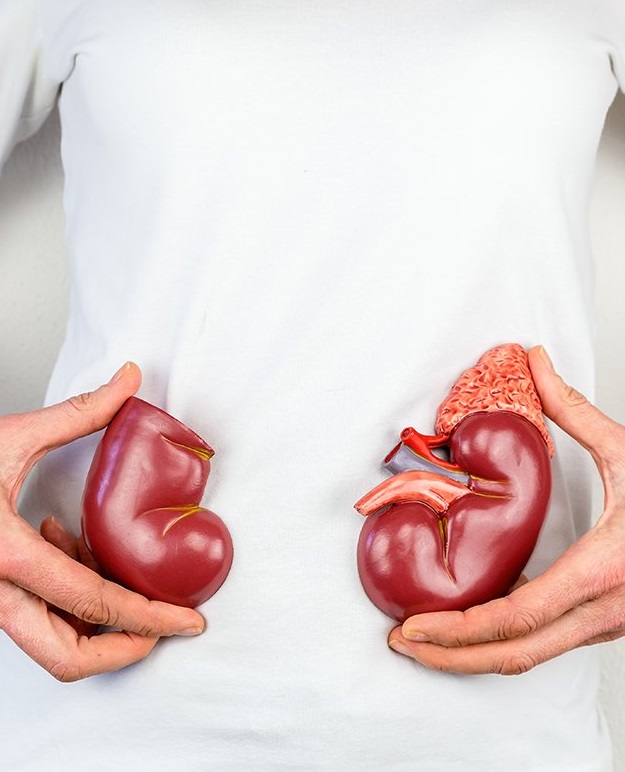 Nefrólogo particular