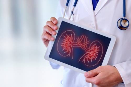 Seguimiento de pacientes trasplantados renales