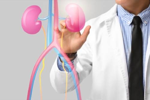 Síndrome nefrótico