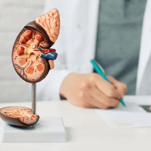 Evaluación médica especializada de la proteinuria en CDMX